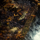 Illustration for article titled Fall photo dump
